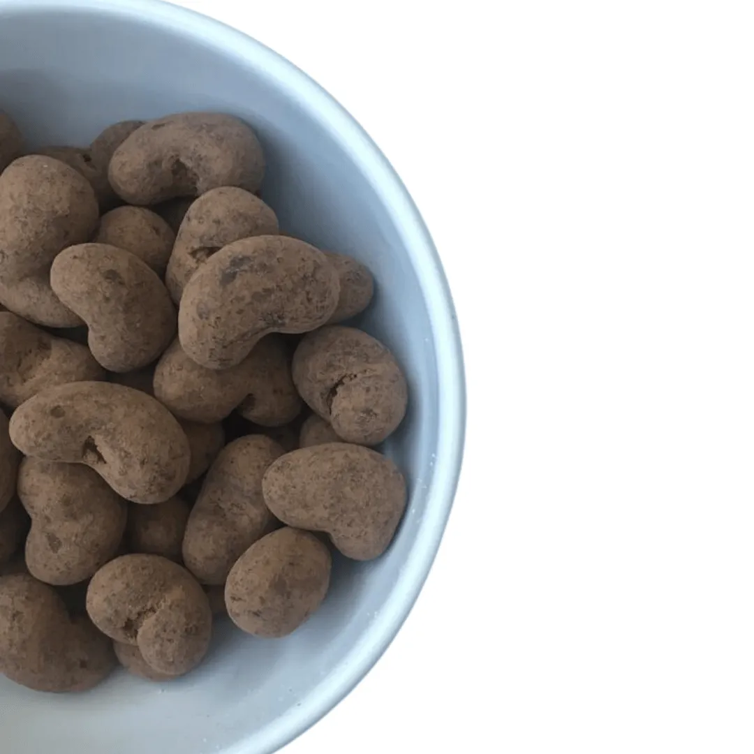 CASTANHA DE CAJU DRAGEADO NO CHOCOLATE 70% CACAU 100g